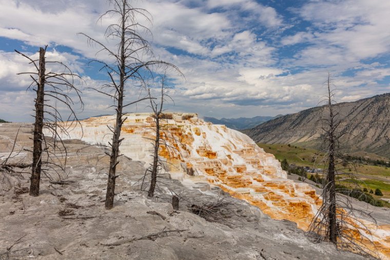 037 Yellowstone NP, mammoth hot springs.jpg